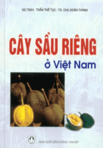 Cây Sầu Riêng Ở Việt Nam