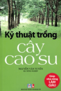 Kỹ Thuật Trồng Cây Cao Su – Nguyễn Văn Tuyến