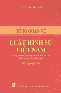 Tổng Quan Về Luật Hình Sự Việt Nam